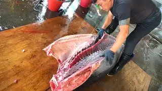 Masterful Otoro & Akami Cuts from a Giant Bluefin Tuna!