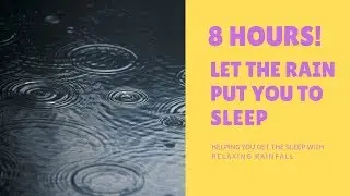 Rain Fall  | Sleep & Reduce Stress | 8 Hours