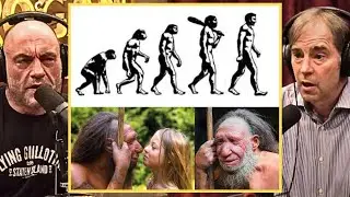 Joe Rogan: Is Evolution A LIE ? | Evolution Theory with Stephen C. Meyer #jrepodcast #jreclips
