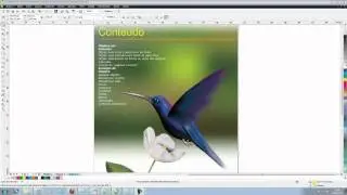 Treinamento CorelDraw X6