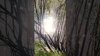 #путешествия