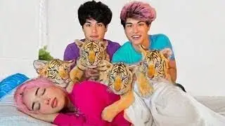 [4K]Prank best friend with Tiger 😳