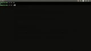 Whoami command in LINUX in ubuntu terminal
