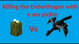 Killing the Ender Dragon with a Sea Pickle in Minecraft