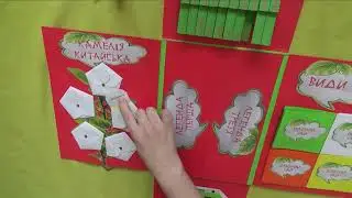 Лепбук Чай
