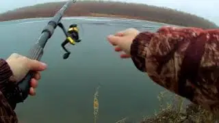 Фидер и спиннинг в декабре