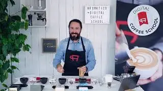 Digital Coffee School | Episode 1: Cupping