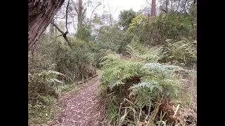 Wombolano Park & Sensory Trail (Ringwood East)
