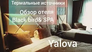 Thermal Hotel in Yalova / REVIEW / HOTEL - SUPER🤩
