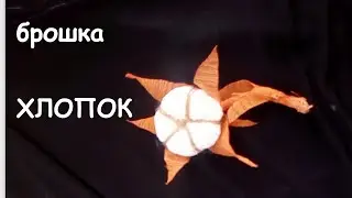 КОРОБОЧКА ХЛОПКА.БРОШЬ в СТИЛЕ БОХО.  