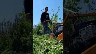 EXTREME LAWN CUTTER AS 62 4T B&S