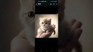 Tekhnologi Meta AI WHATSAPP Buat Gambar Keren Tinggal Ketik Perintah Gambar Yang kita Bayangkan