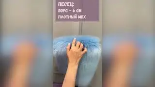 ПЕСЕЦ или ЕНОТ? В чём отличие?