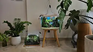 Setup mini tank 40 liter