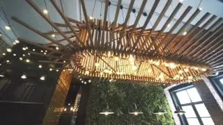 Об истинном предназначении Pine Bar: вся правда.
