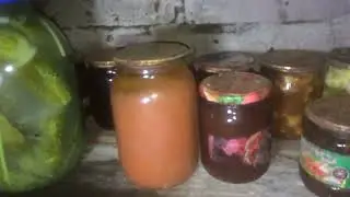 СГНИЛИ ПОЛКИ В ПОГРЕБЕ