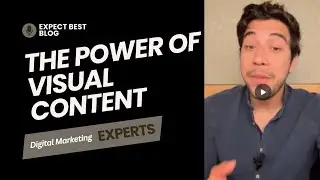 The Power of Visual Content in Small Business Websites