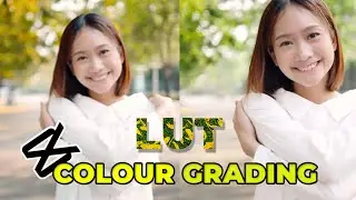 DON'T GET IT WRONG! How to Add & Use LUTs in Capcut PC Correctly | Capcut PC Tutorials