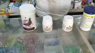3.09.2024г Магазин Всё для Голубей👍+79257287050 Марина, +79263934162 Анатолий