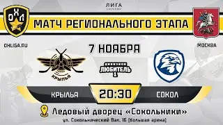 LIVE / КРЫЛЬЯ - СОКОЛ / 07.11.23 / ОХЛ МОСКВА / ДИВИЗИОН ЛЮБИТЕЛЬ 1