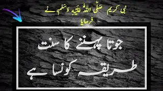 The Sunnah of wearing shoes | Daily Hadees | Mohid Info