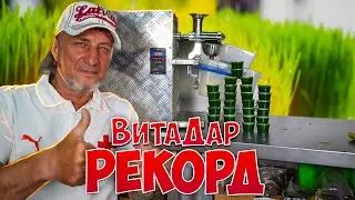 Сокрушающий эффект новой соковыжималки
