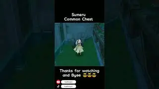 Always check what's behind the building, guys #shorts #tiktok #genshinimpact #sumeru #chest #nahida