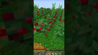 How I make Grilled Salmon in Minecraft 🍣 #salmon #minecraft #farming