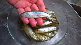 Килька пряного посола .