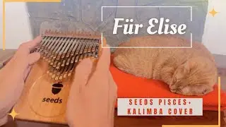 Für Elise (Beethoven) | Seeds Pisces Plus 41-Key & Pisces 34-Key Kalimba Cover