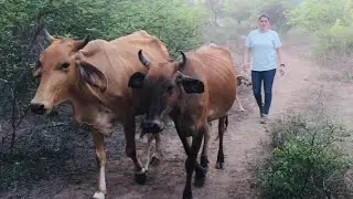 Así es la vida en el campo en El Salvador