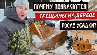 Трещины на дереве. Откуда? || @ArkhangelLogHomes