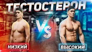КАК 100% ПОВЫСИТЬ ТЕСТОСТЕРОН НАТУРАЛЬНО
