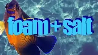 Foam + Salt