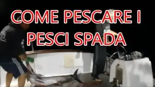 PESCA AL PESCE SPADA CON PALANGARO DERIVANTE E CATTURE.