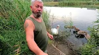 Славянск. 4 сентября 2024г. Вечер.
