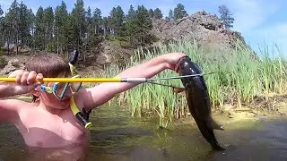 Underwater Exploration 3 | FRESHWATER Catch & Cook | Simplified Spearfishing