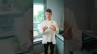 Газировка без сахара - ОК? 😱 #сахар #правильноепитание #питание