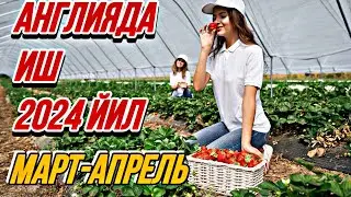 EUROPADA ISH 2024 ЕВРОПАДА ИШ