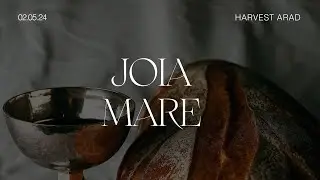 JOIA MARE | Raul Todinca | Harvest Arad