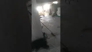 Mehrere Verschüttete nach Lawinenabgang in Lech/Zürs in Vorarlberg / Zafarullah TV