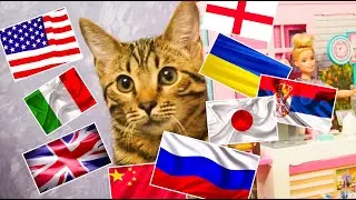 Как зазывают кошек в разных странах?