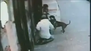 CCTV - 2 Pit Bulls viciously attack 62 year old woman on the street