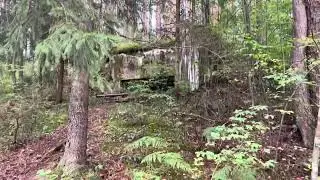 Забытая ДОТ в деревне Большая Коша