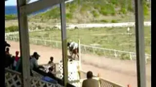 Horse Racing in Nevis 14