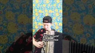 Мотыльки - Воровайки, на баяне 