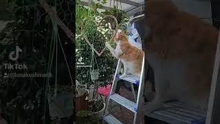 Монтажник-высотник