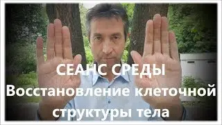 СЕАНС СРЕДЫ. Восстановление клеточной структуры тела. WEDNESDAY. Cell repair. (12.06.19)