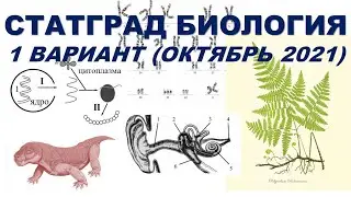 СТАТГРАД БИОЛОГИЯ | 1 вариант | Октябрь 2021