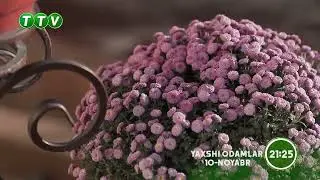 YAXSHI ODAMLAR KO'RSATUVI UROLOGIYA (ANONS) 10.11.2023